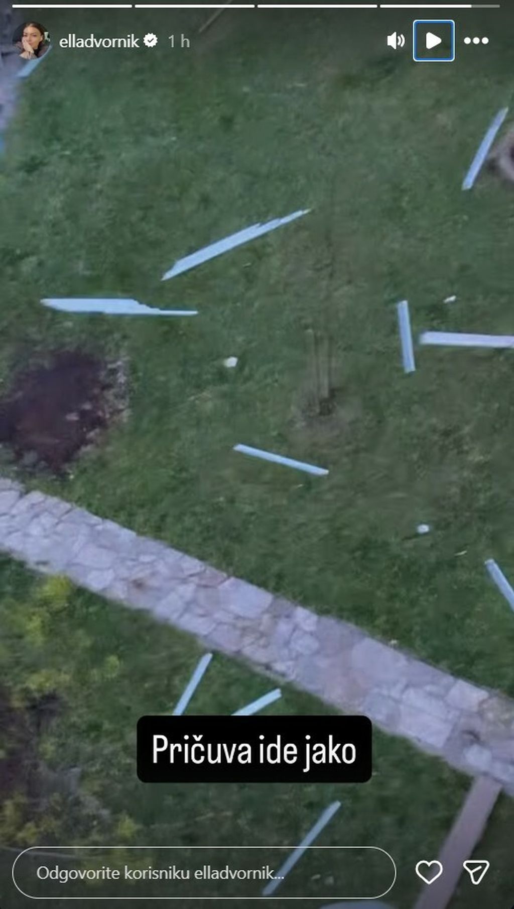 Ella Dvornik na Instagramu