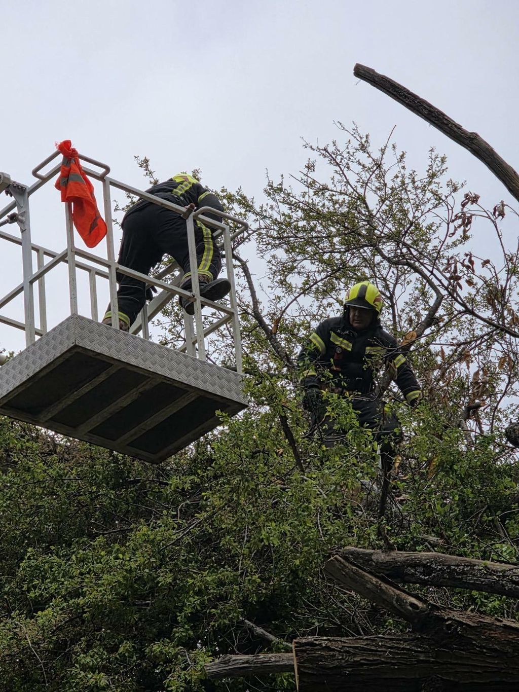 Nastavlja se sanacija u Zagrebu nakon olujnog nevremena - 3