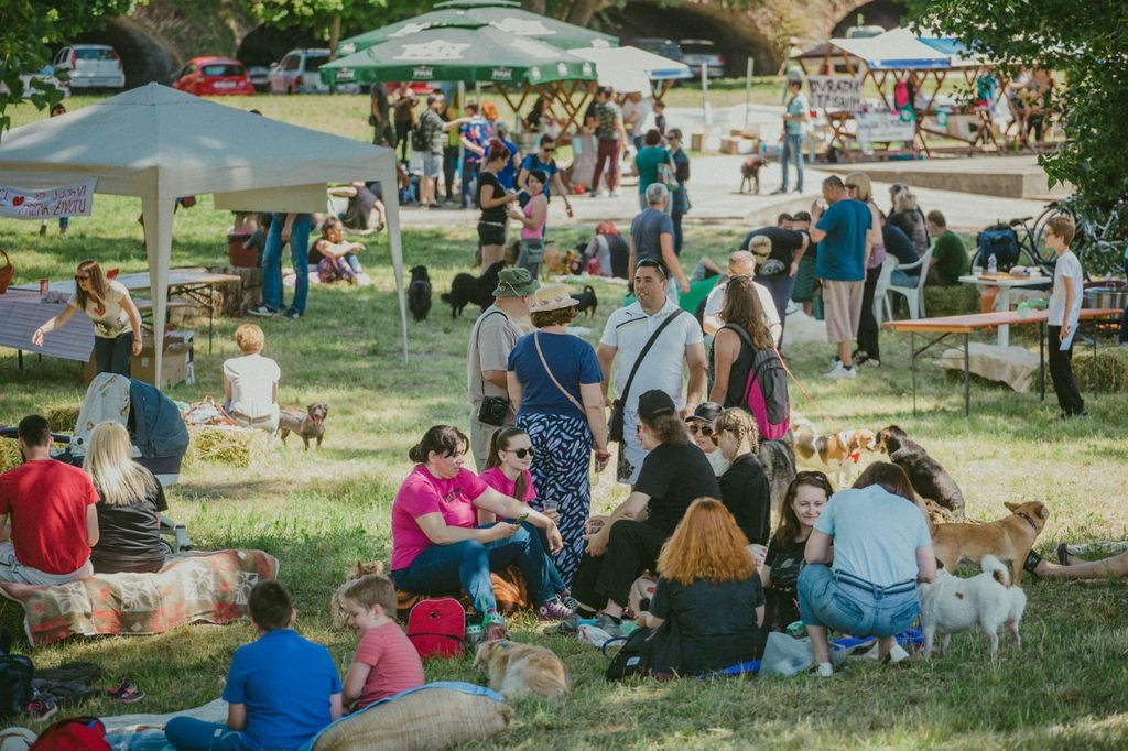 Udruga Pobjede iz Osijeka organizira još jedan Povratak otpisanih u nedjelju 27. svibnja - 5