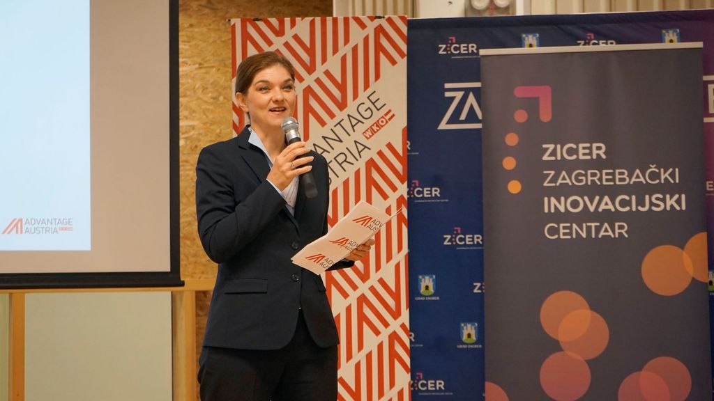 Izlaganje Mirke Jozić