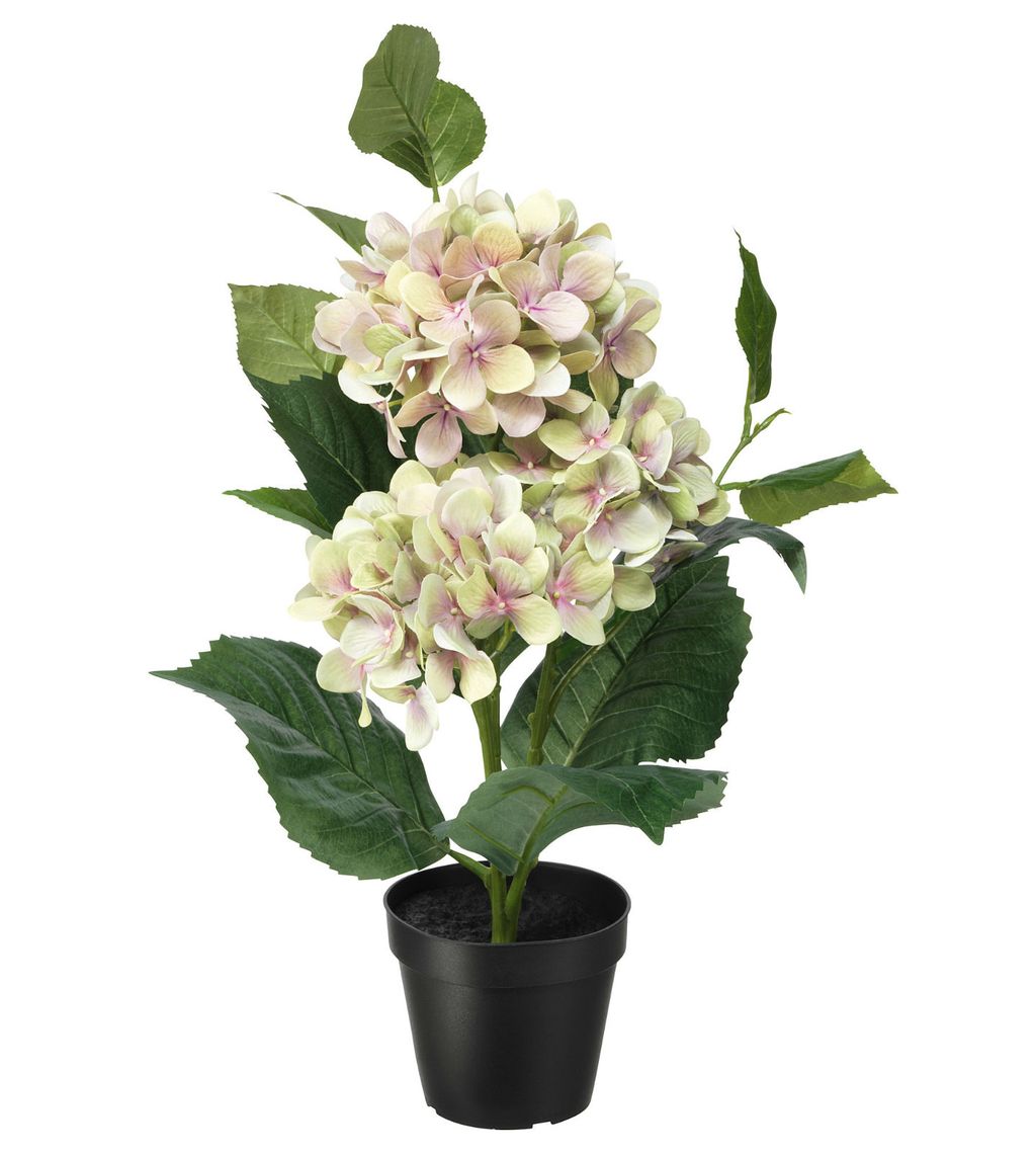 IKEA, Fejka hortenzija zelena, 99,90 kn