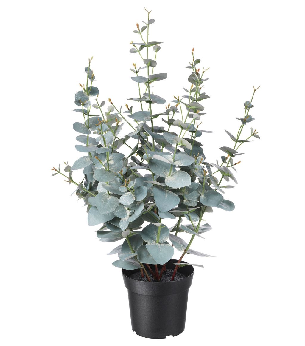 IKEA, Fejka eukaliptus, 149,90 kn