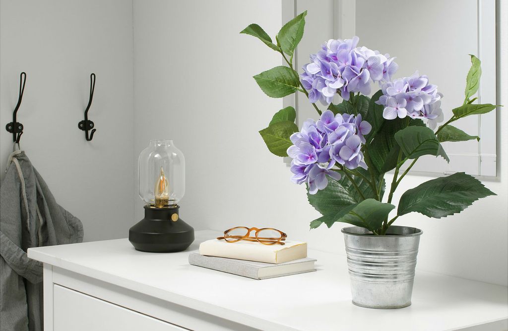 Fejka lila hortenzija može biti savršeni ukras za dom