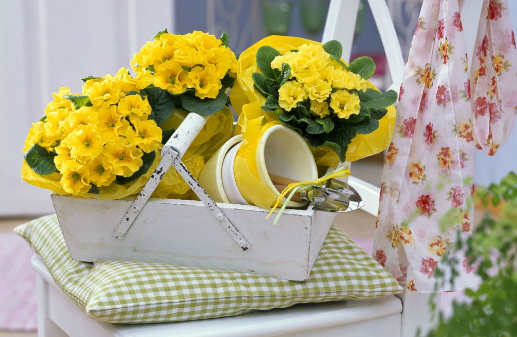 Sitnice koje će vrtlarenje učiniti još ljepšim i ugodnijim - 5