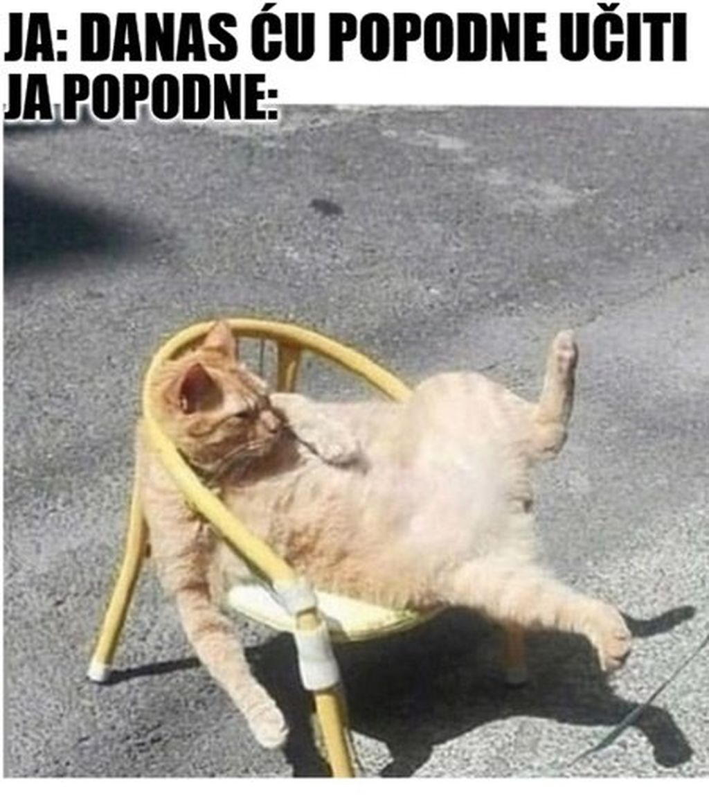 Meme učenje