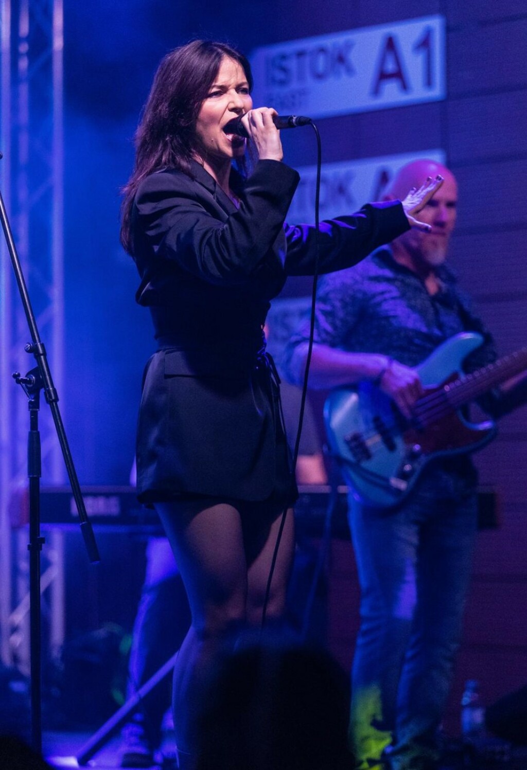 Vesna Pisarović održala je koncert u Osijeku