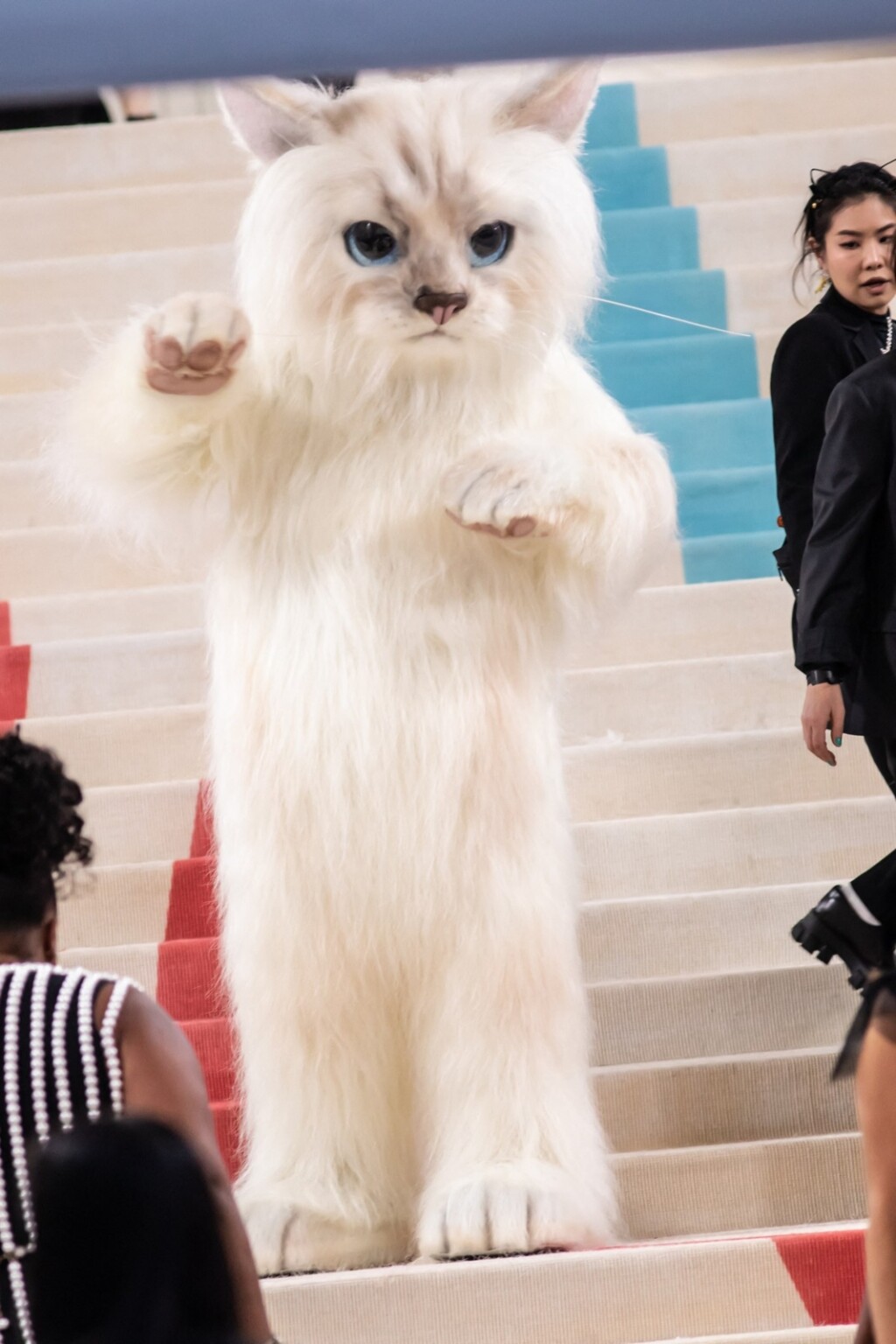 Jared Leto na Met Gali u kostimu mačke Choupette