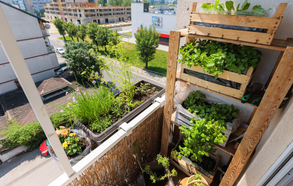 Ivana Marketin iz Zagreba svoj balkon veličine uredskog stola pretvorila je u malu zelenu oazu - 7