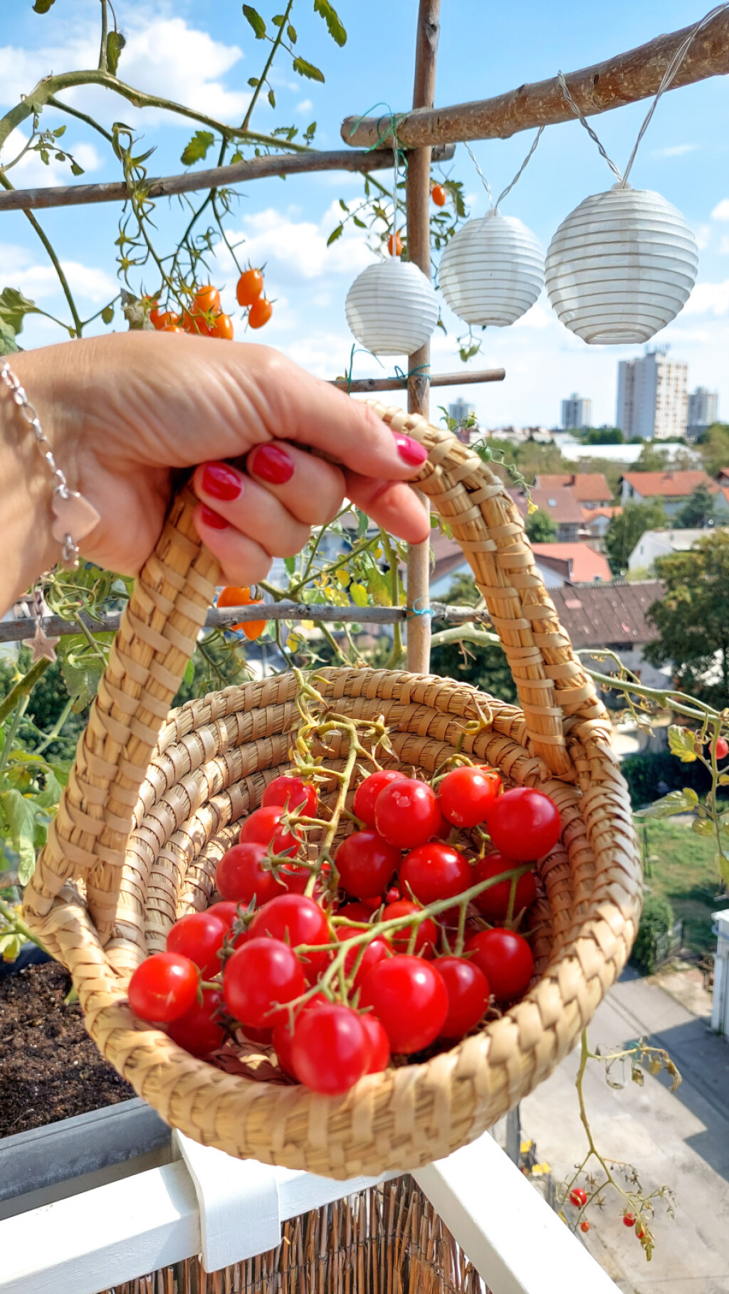 Ivana Marketin iz Zagreba na svom majušnom balkonu uzgaja razno začinsko bilje - 6