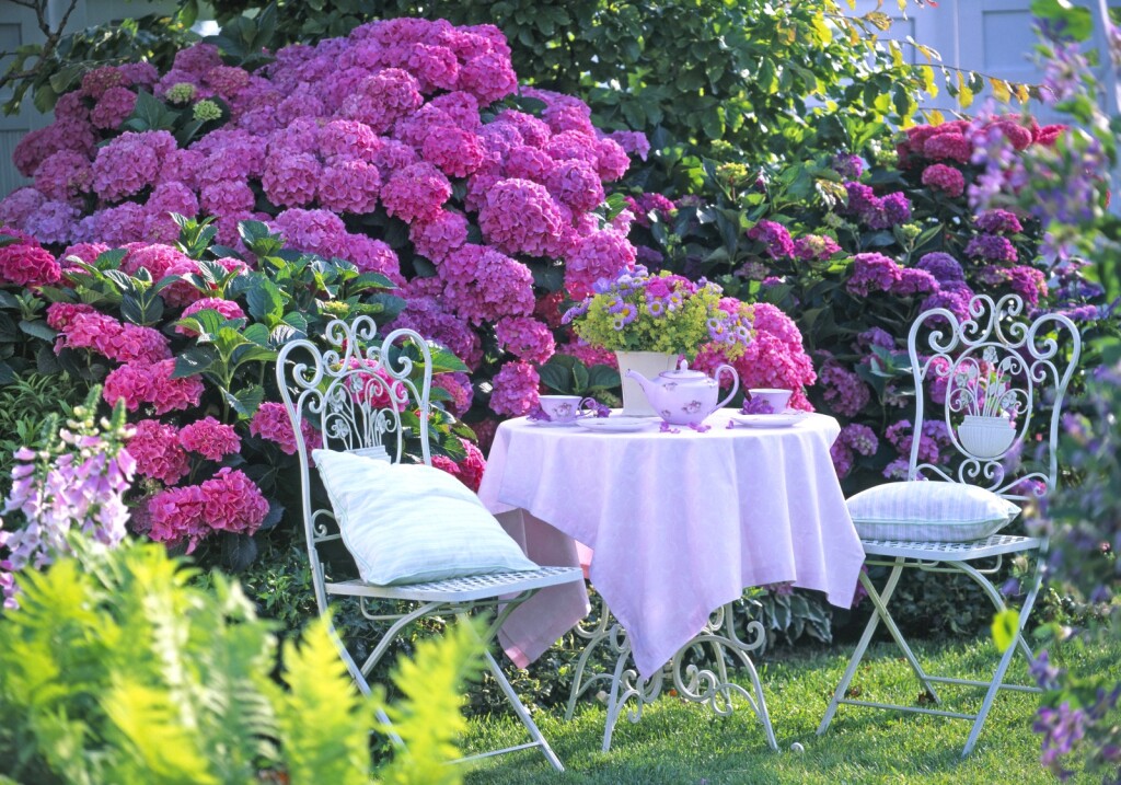 Prekrasni vrtovi s hortenzijama - 9