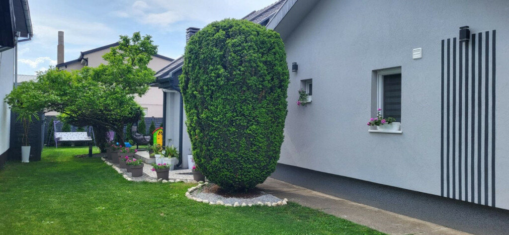 Prelijepo uređeno dvorište Sanje Djaković iz Zrenjanina - 8