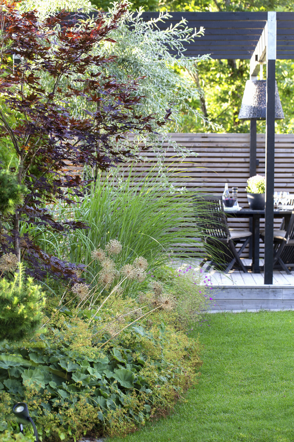 Dvorište obične kuće koje izgleda kao da je dio hotela s pet zvjezdica