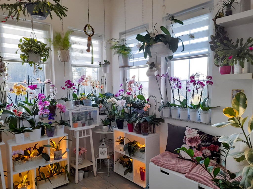Barbara Martinić iz Donje Stubice uzgaja orhideje