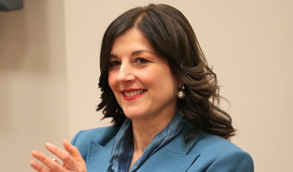 Sanja Musić Milanović na okruglom stolu - 3