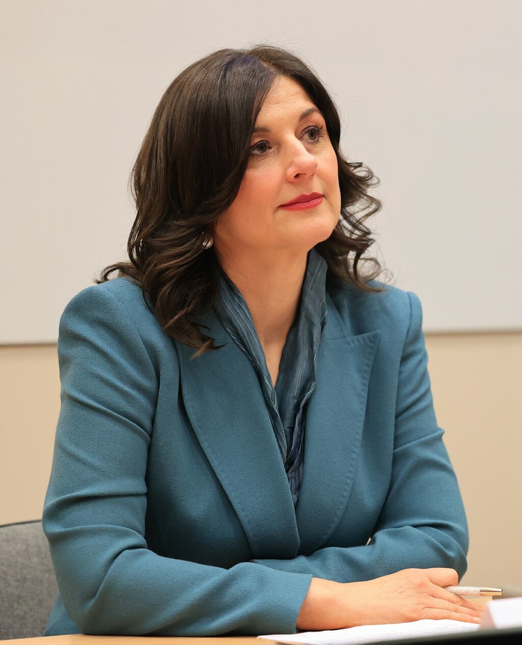 Sanja Musić Milanović na okruglom stolu - 5