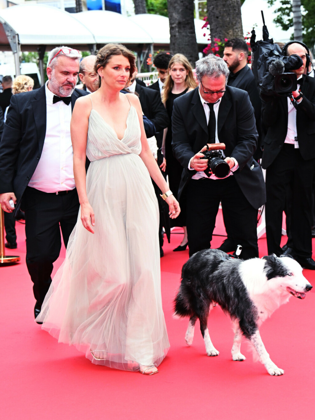 Pas Messi, zvijezda filma 'Anatomija pada', na crvenom tepihu u Cannesu - 3