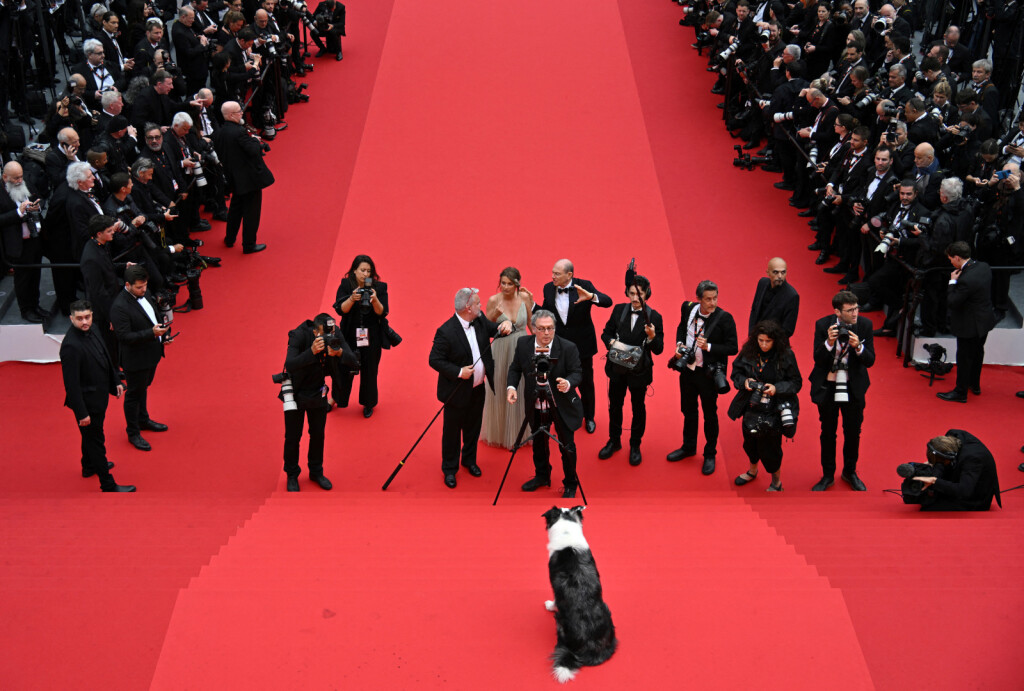 Pas Messi, zvijezda filma 'Anatomija pada', na crvenom tepihu u Cannesu - 12