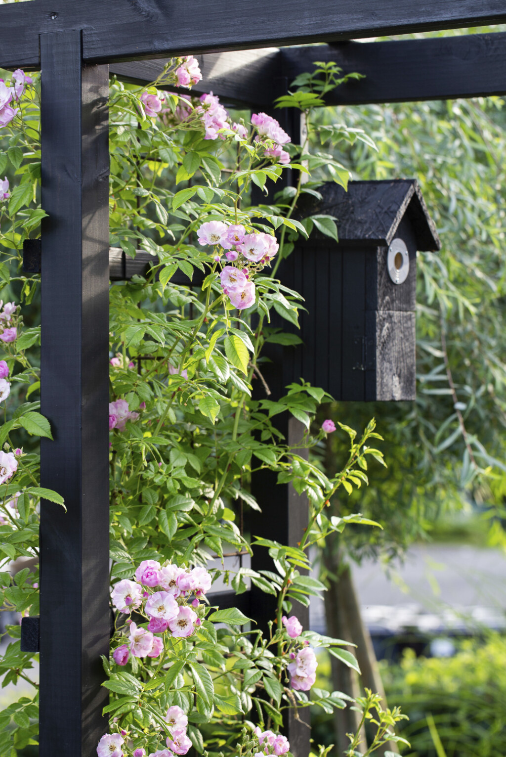Dvorište puno zelenila u kojem bismo se voljeli izgubiti - 3