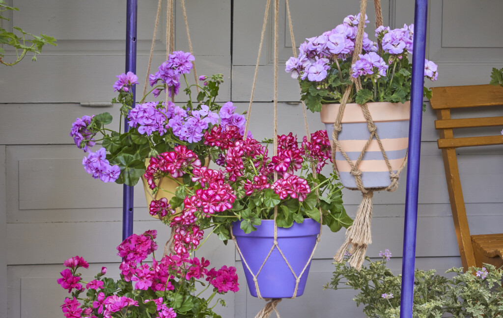 Stalak za viseće makrame košare s pelargonijama