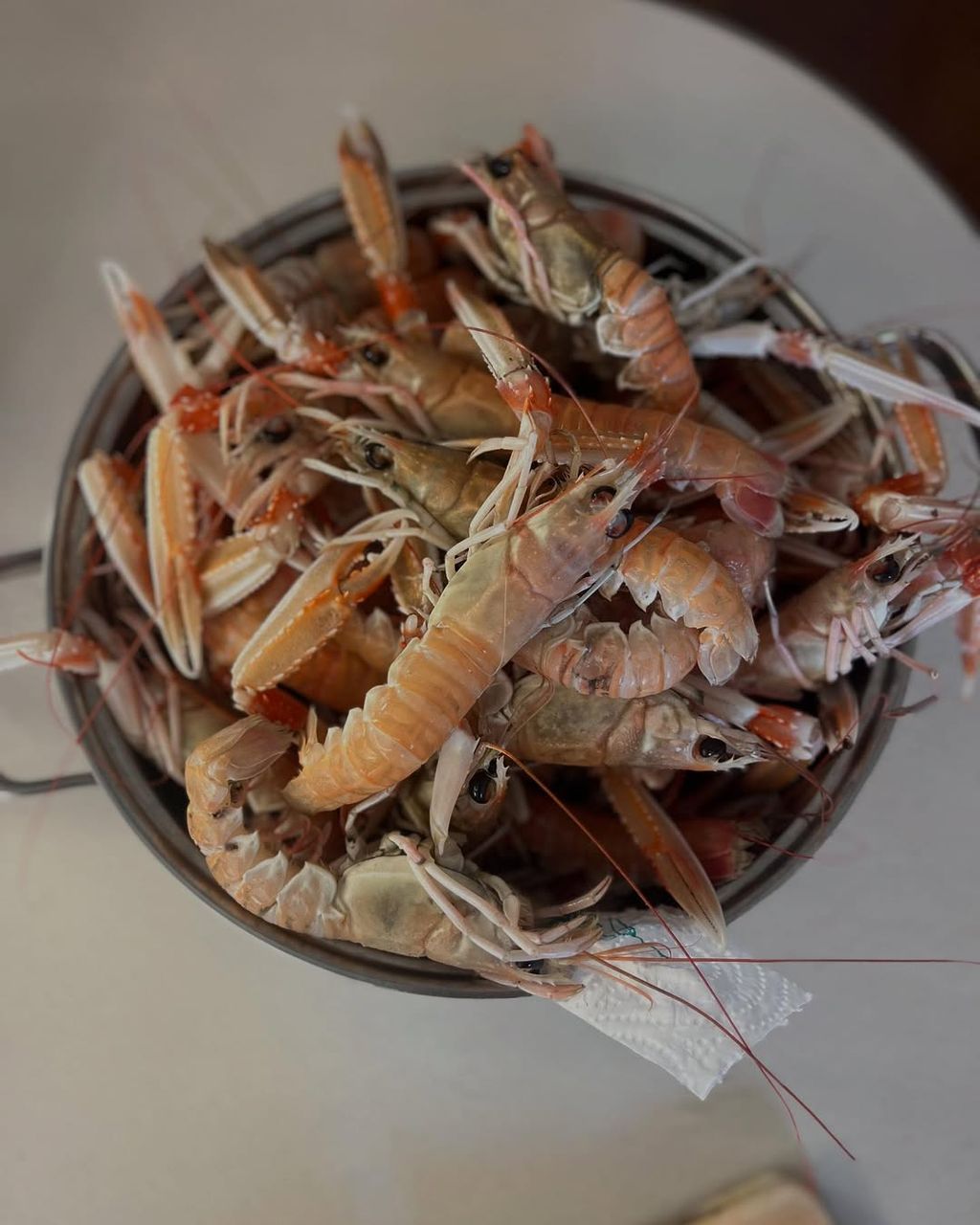 Ecija Ojdanić na Instagramu