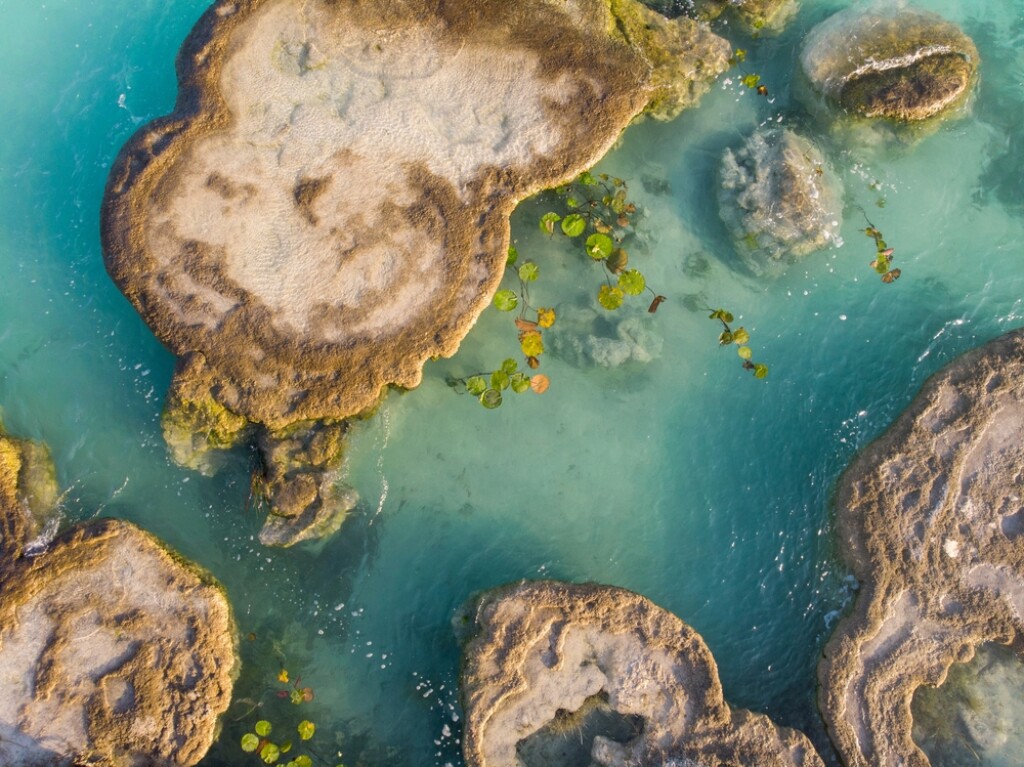 Bacalar - 2