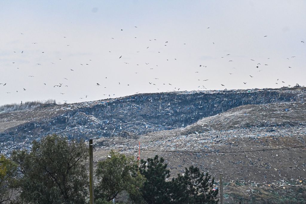 Tomislav Tomašević