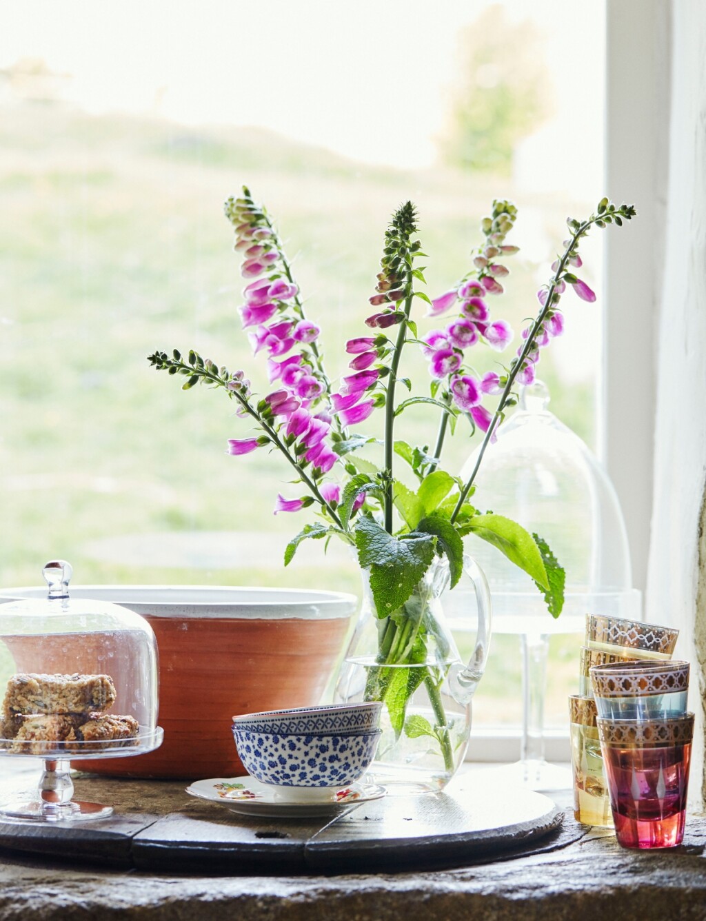 Naprstak (Digitalis)