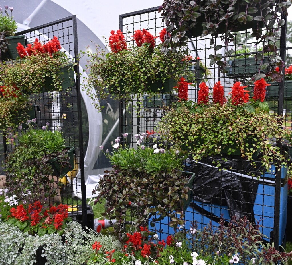 Floraart 2025.