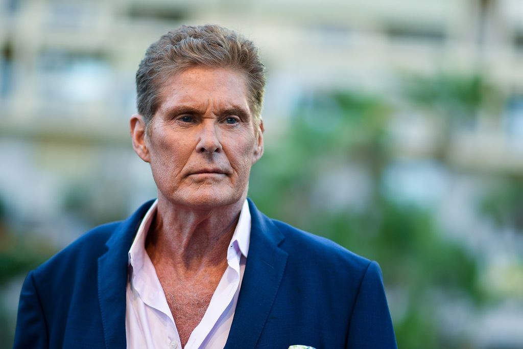David Hasselhoff - 1