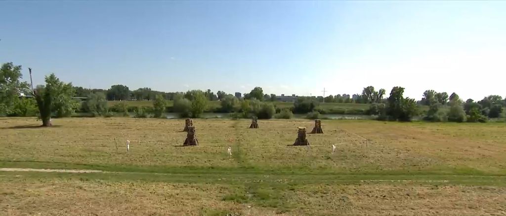 Trnjanski kresovi: slavlje oslobođenja ili provokacija - 5