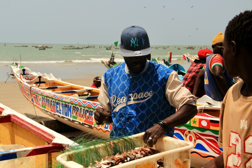 Senegal - 42
