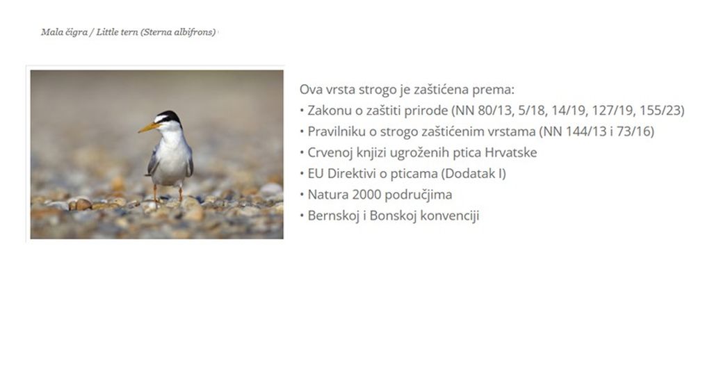 Drava