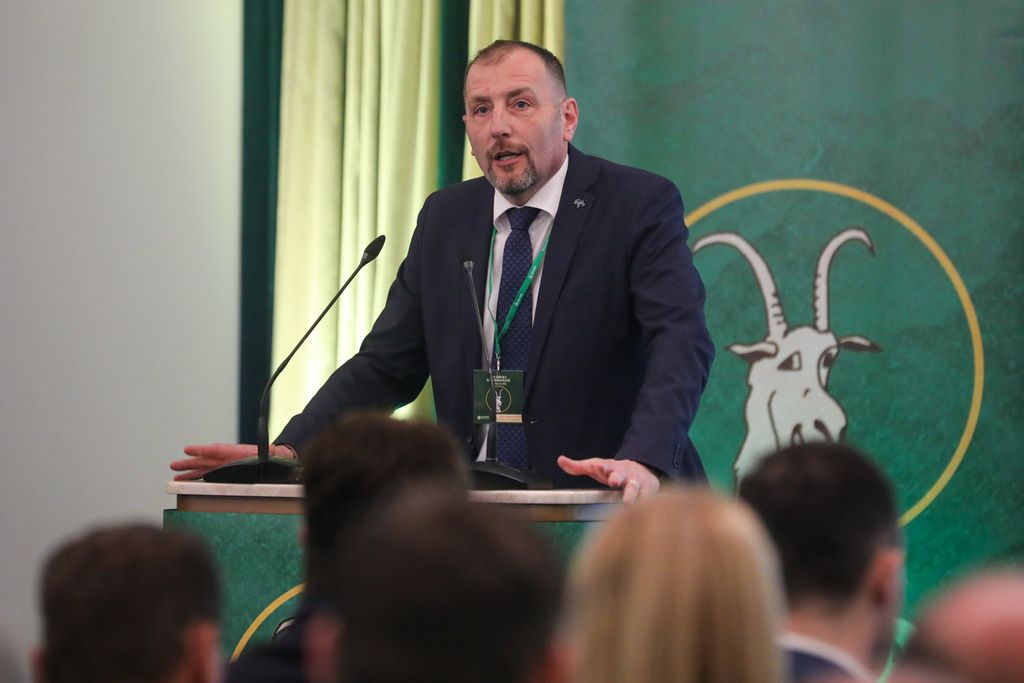 Glasanje na lokalnim izborima 2025.