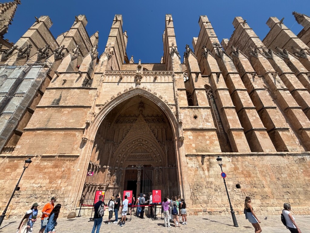 Palma - 7