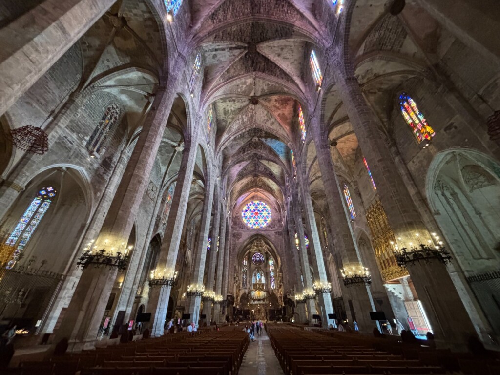 Palma - 8