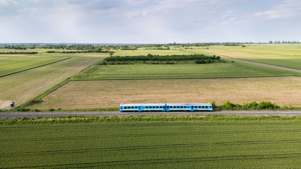 Slow wine train - 10
