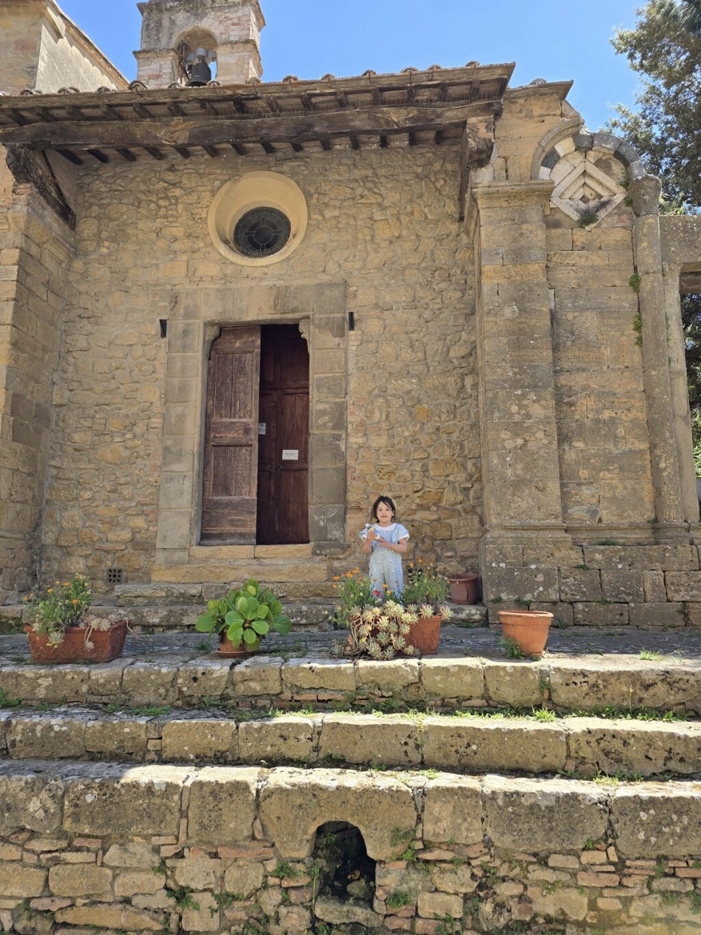Volterra