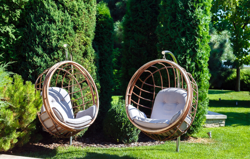 Tuje u dvorištu stvaraju predivan zeleni ugođaj