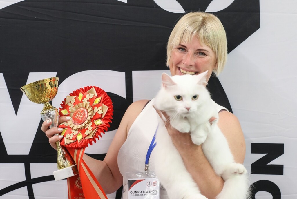 Svjetska izložba mačaka