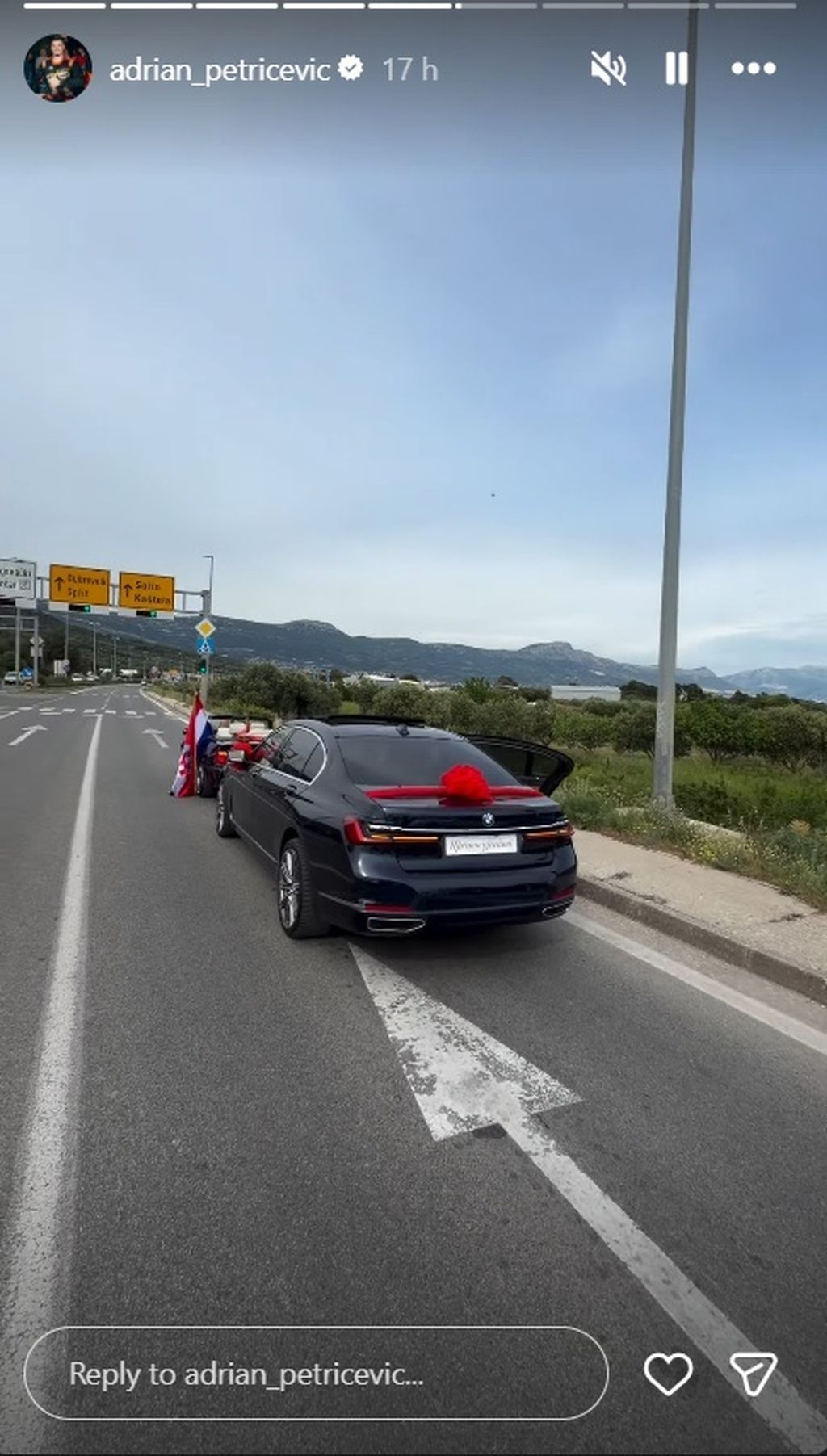 Vjenčanje Adriana Petričevića i Anje - 8