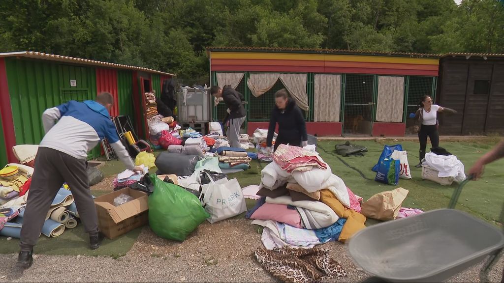 Građani pomažu zlostavljanim psima
