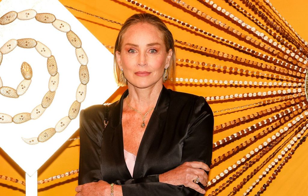 Sharon Stone u satenskom odijelu - 5