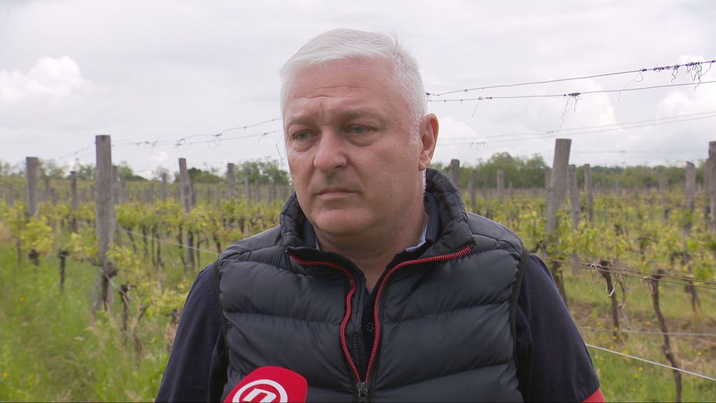 Vinograd - 2