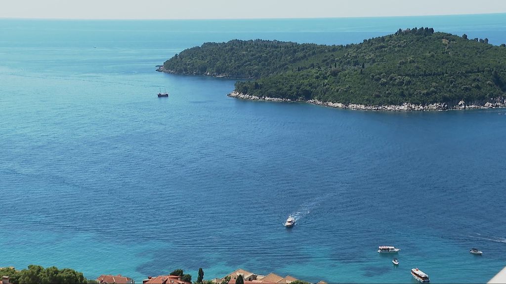 Potraga bez rezultata