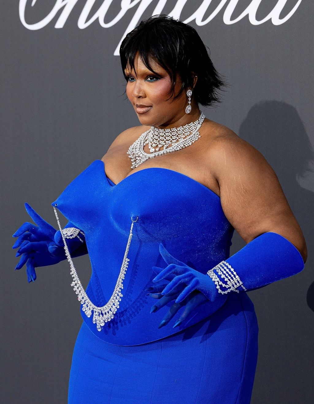 Lizzo na amfAR gali 2026.