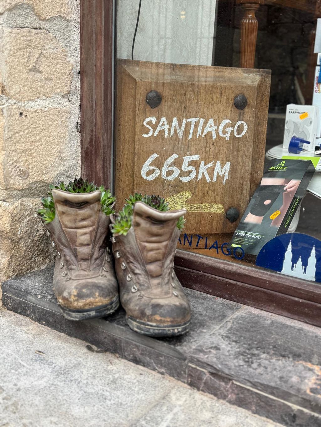 Camino - 6