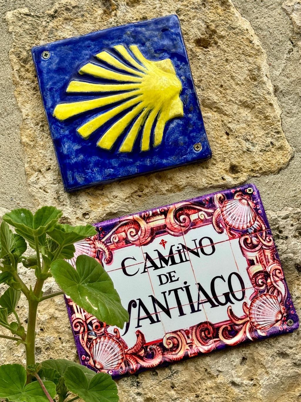 Camino - 30