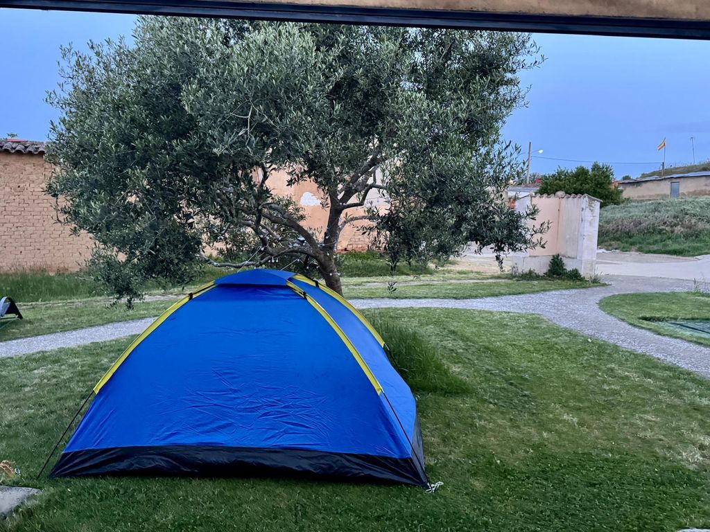 Camino - 38