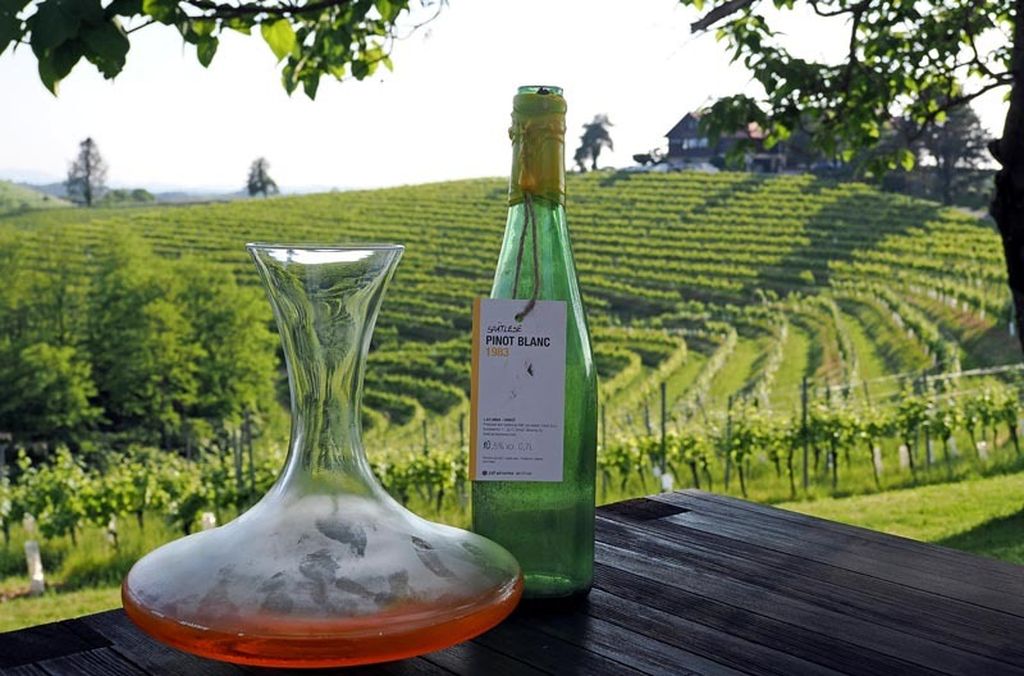 Pogled s terase zidanice Malek uz arhivsko vino