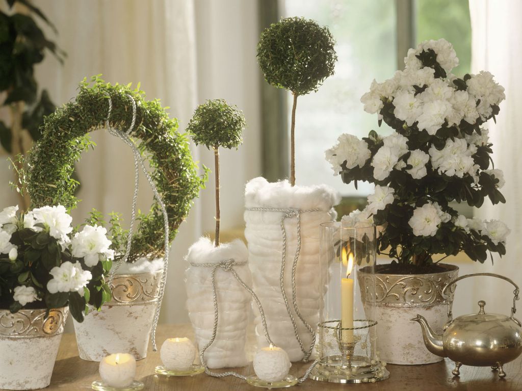 ''Golo zelenilo'' popularan je način dekoriranja ove godine (Foto: Living4media).